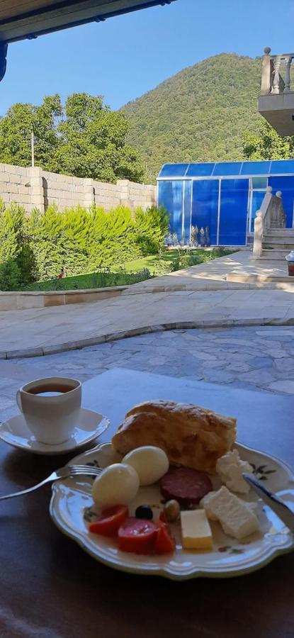Viva Hotel Gabala With Sauna, Pool, Waterfall And Fireplace Eksteriør billede